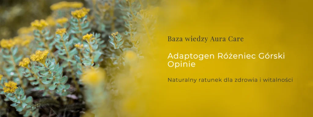 różeniec górski opinie